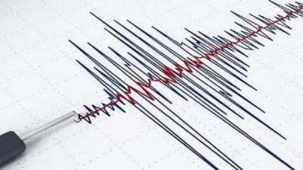 Թուրքիայում 4.6 բալ ուժգնությամբ երկրաշարժ է գրանցվել
