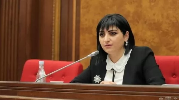 Ադրբեջանը միջազգային հետախուզում է հայտարարել հայ պաշտոնյաների և 300 հայերի նկատմամբ, իսկ մենք 1 անդրբեջանցու նկատմամբ. պատգամավորը՝ Բադասյանին