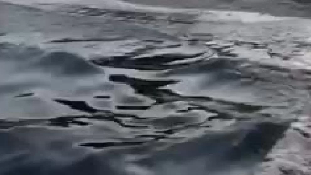 ՏԵՍԱՆՅՈՒԹ. Օդեսա քաղաքում լողափերի ջրերը մազութով են լցվել