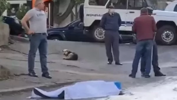 ՏԵՍԱՆՅՈՒԹ.  Սպանություն Երևանում․ ՔԿ