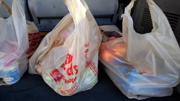 Կարգելվի որոշ տեսակի պոլիէթիլենային տոպրակների իրացումը