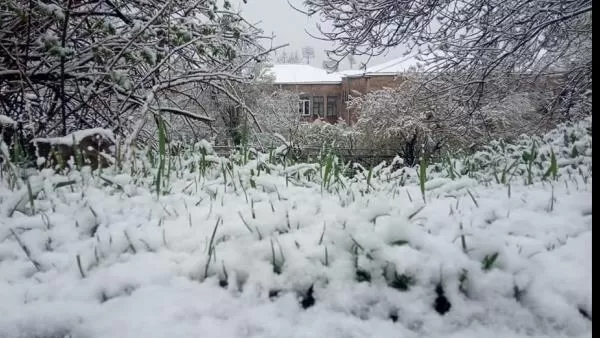 Երևանում, Աբովյանում և Սևանում ձյուն է տեղացել