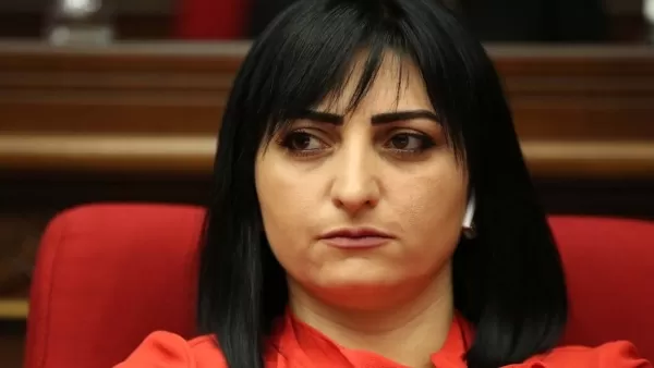Փաշինյանի մտքի թռիչքն է․ պատգամավորը՝ Արցախ չթողնելու մեջ խաղաղապահներին մեղադրելու մասին․ 24News