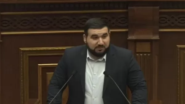 ՏԵՍԱՆՅՈՒԹ․ Մարդիկ կան, որ իրենց գլուխն են թմբուկի տեղ օգտագործում. պատգամավոր 