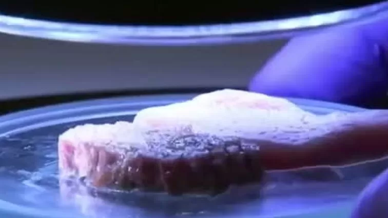 ՏԵՍԱՆՅՈՒԹ. Իսրայելում 3D տպիչով միս են տպում