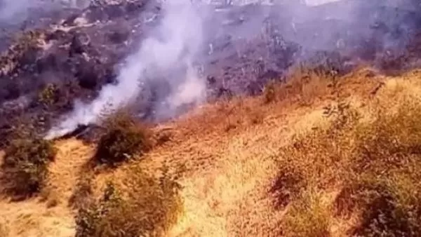 Որոտան գյուղի մոտակայքում բռնկված հրդեհը մարվել է. այրվել է մոտ 30 հա խոտածածկ տարածք