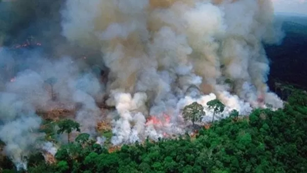 Թրամփն օգնություն է առաջարկել Բրազիլիային մոլորակի «թոքերը» փրկելու հարցում