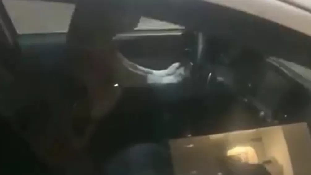 ՏԵՍԱՆՅՈՒԹ․ Մեքենայում փակված շունը սեղմել է ազդանշանը՝ մինչև տերը եկել է․ ՌԴ