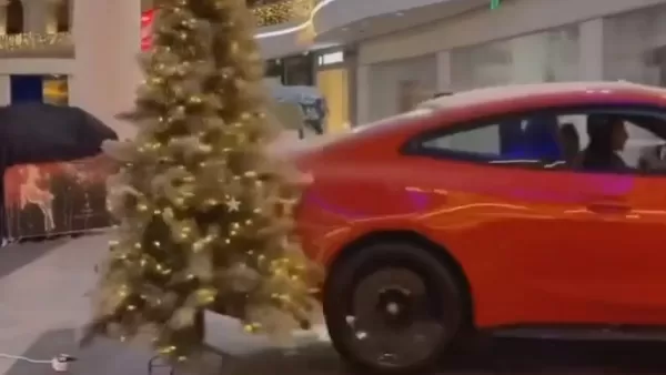 ՏԵՍԱՆՅՈՒԹ. Մեքենայով առևտրի կենտրոն ներխուժած և եղևնին տապալած բլոգերի տեսանյութը բեմադրված է եղել