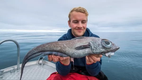 Նորվեգացին «այլմոլորակային» ձուկ է որսացել 