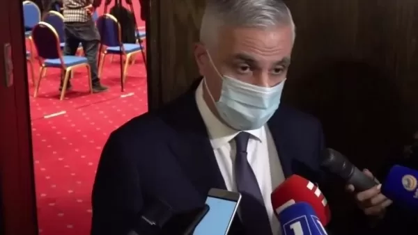 ՏԵՍԱՆՅՈՒԹ. Հայաստանի ու Ադրբեջանի միջև դեմարկացիա չի սկսվել. Մհեր Գրիգորյանը՝ Փելա սարի՝ ադրբեջանական կողմին անցնելու լուրերի մասին
