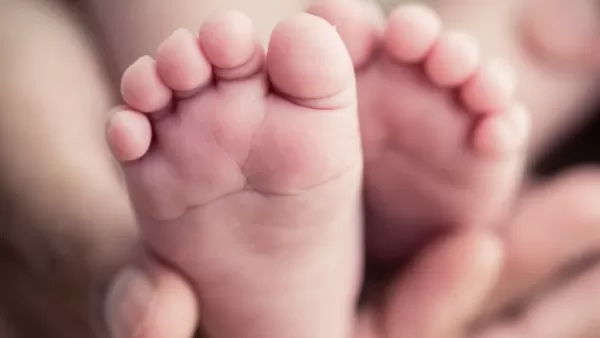 Հայաստանում ծնելիության ցուցանիշը նվազել է 3,2 տոկոսով