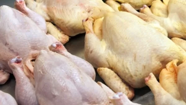 Վրաստանը Թուրքիա է վերադարձել տոննաներով սառեցված հավի միս