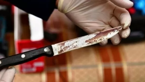 Երևանում տղամարդը խոհանոցային դանակով սպանել է հարևանին