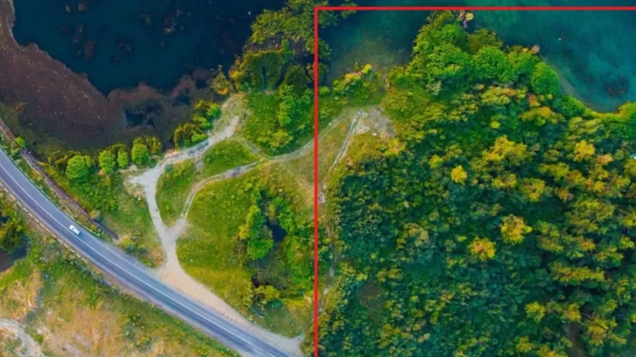 «Անտառային գենոցիդ»․ Սևան-Գավառ մայրուղու սկզբնամասում մոտ 1,5 հեկտար կանաչ տարած է ոչնչացվել․ ԱՀԱԶԱՆԳ