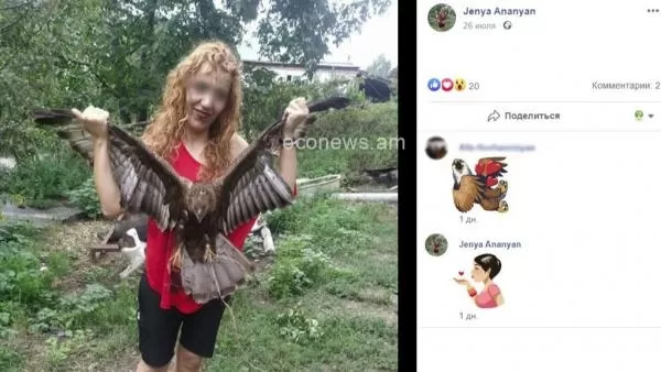 Ահազանգ. վայրի գիշատիչ թռչունը՝ 40-ամյա կնոջ ձեռքերում. EcoNews