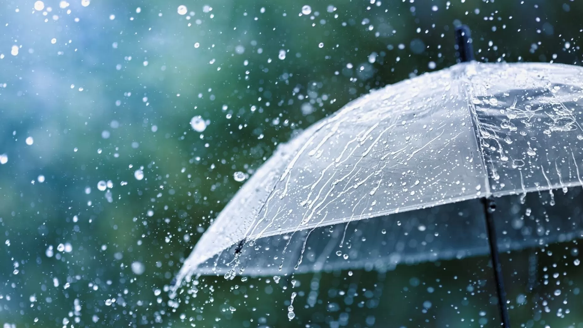 Անձրևանոցը չմոռանաք․ առաջիկա օրերի եղանակի տեսությունը