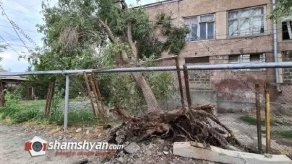 Մասիսի Թիվ 6 հիմնական դպրոցում հաստաբուն ծառը արմատից պոկվել է ու կախվել լարերից՝ վտանգ առաջացնելով բնակիչների համար