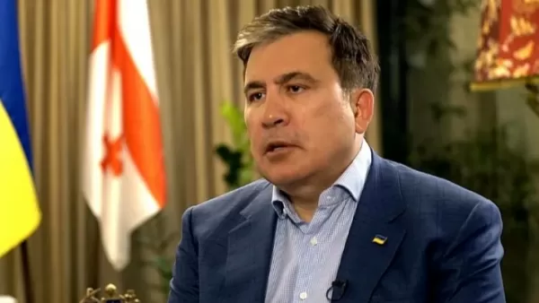 Վրաստանի նախկին նախագահ Միխեիլ Սաակաշվիլին հրաժարվում է վրացական քաղաքականությունից