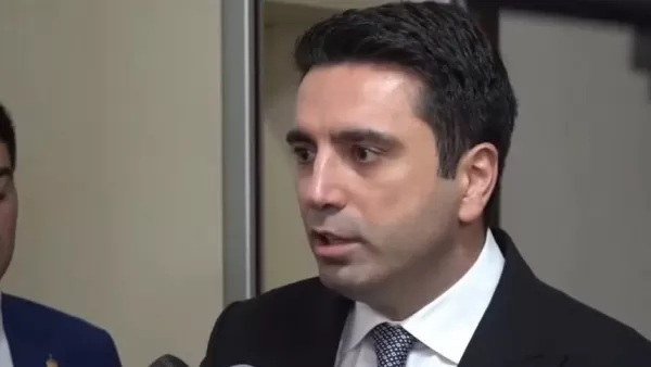 ՏԵՍԱՆՅՈՒԹ․ Սիմոնյանը խոսել է ադրբեջանական կողմի սադրանքների մասին 