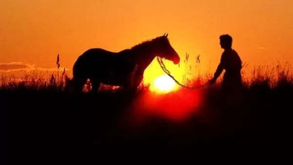 Անհայտ անձը ձիով հատել է Հայաստանի պետական սահմանը. ձին՝ առանց ձիավորի, ետ է վերադարձել