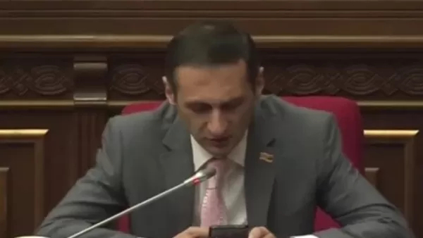 ՏԵՍԱՆՅՈՒԹ. Պետք է բացառեիք խնամի, ծանոթ սկզբունքը, բայց տեսնում ենք լրիվ հակառակ պատկերը. պատգամավորը՝ Պապիկյանին 