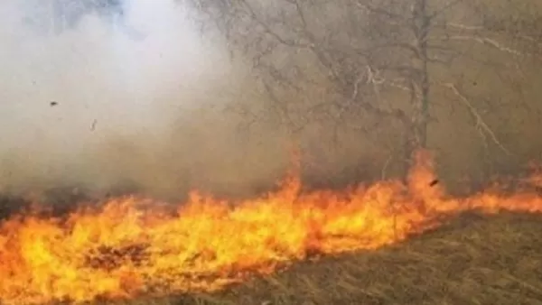 ՏԵՍԱՆՅՈՒԹ․ Սյունիքի մարզում այրվում է մոտ 60 հա բուսածածկույթ 