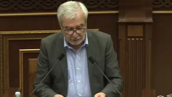 ՏԵՍԱՆՅՈՒԹ. Գերիների մասին քննարկումները ոչ ճիշտ մթնոլորտ են ստեղծում հանրության շրջանում. պատգամավոր 