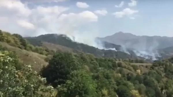 Սյունիքի մարզի անտառում հրդեհ է բռնկվել. կրակը կարող է մոտենալ բնակելի տներին