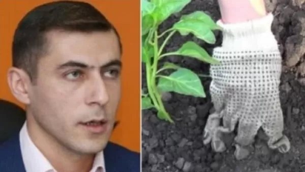 Սուրենյանը հորդորում է բացօթյա սածիլում չանել, մարտի 28-29-ին ջերմաստիճանը բացասական կլինի