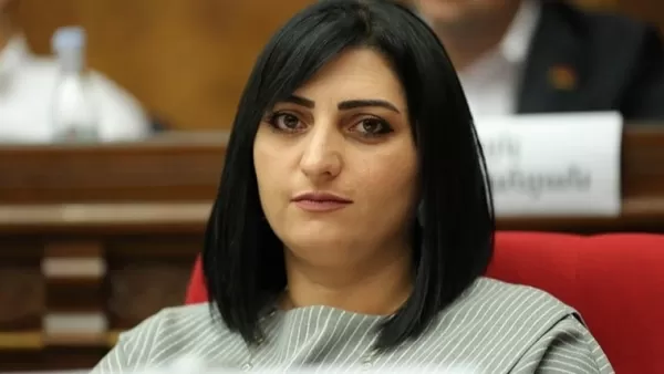 Քաղաքացին սպառնում էր ինքնահրկիզվել, եթե չկարողանա ԱՄՆ մուտք գործել․ պատգամավորն ահազանգում է 