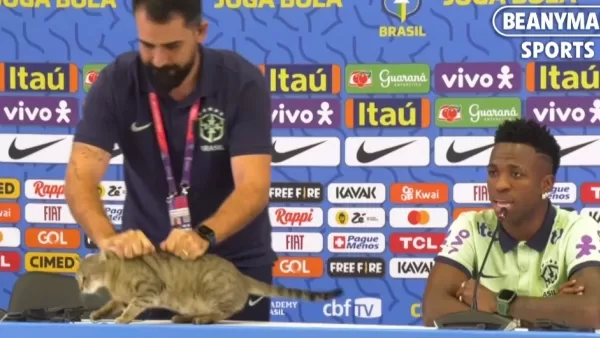 ՏԵՍԱՆՅՈՒԹ․ Սկանդալ՝ ասուլիսի ժամանակ․ Բրազիլիայի հավաքականի աշխատակիցը բռնել է կատվի մաշկից ու նետել հատակին