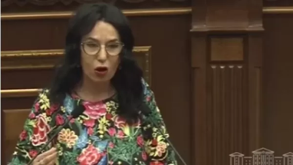 Ռազմագերու ծնողին ասեք՝ «ոչինչ, որ որդիդ այնտեղ է, ադրբեջանցու հետ առևտուր կանենք, լավ կապրեք». Նաիրա Զոհրաբյան 