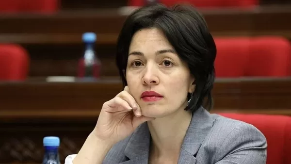Մեր երեխաները հետ են ընկել 1 կիսամյակ՝ ի տարբերություն շատ երկրների, որտեղ 1,5 տարի է բացը. Անդրեասյան