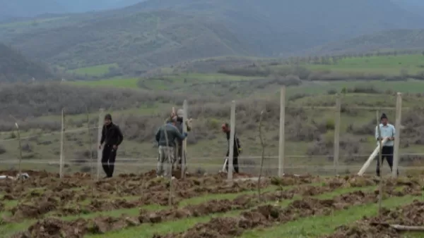 Ադրբեջանցիները զենքի սպառնալիքով վռնդել են այգիներում աշխատող արցախցիներին. NEWS