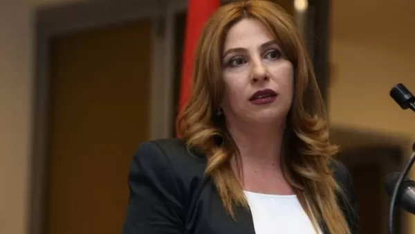 Զարուհի Փոստանջյանը դիմել է դեսպաններին