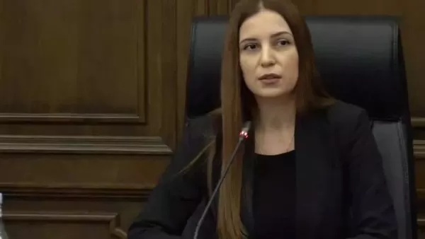 ՏԵՍԱՆՅՈՒԹ․ Այնքան պրիմիտիվ են նշանակման հիմքերն ու տրամաբանությունը․ պատգամավորը՝ Ռուբինյանի բանագնաց լինելու մասին 