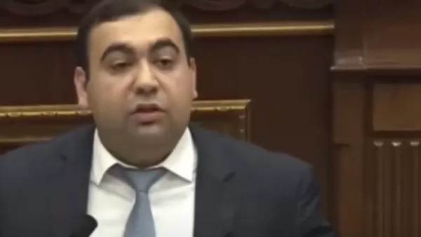 ՏԵՍԱՆՅՈՒԹ. Հայրենիք վերադառնալուց հետո ինչ պետք է անեն բանակից խուսափածները 