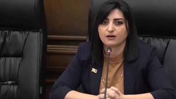 ՏԵՍԱՆՅՈՒԹ. Հայաստանի քաղաքացիների կենսական իրավունքը Սյունիքում վտանգված է. պատգամավոր 