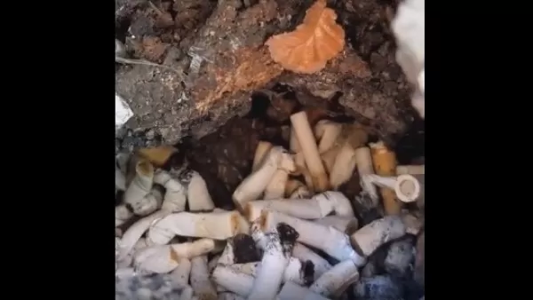 ՏԵՍԱՆՅՈՒԹ․ «Ասաց՝ բա հո գետնին չեմ թափելու. 60-ին մոտ կին էր». Սարգսյան