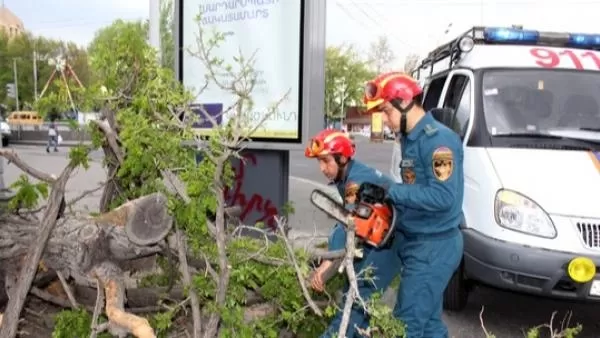 Երևանի Հանրապետության փողոցում ծառի ճյուղը կոտրվել և կախվել է ճանապարհի մոտակայքում