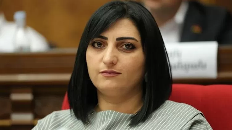 «Freedom House»-ն արձանագրել է Ադրբեջանի կողմից իրականացված մի շարք հանցագործություններ ՀՀ նկատմամբ․ Թագուհի Թովմասյան