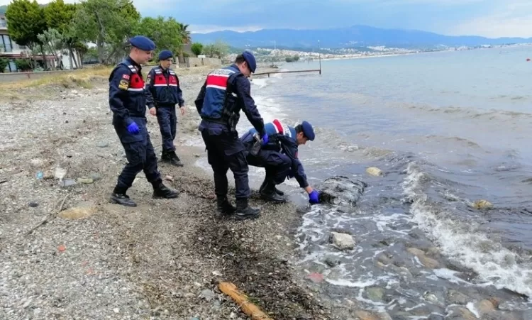Թուրքիայում 1,5 տոննա մարիխուանա է դուրս բերվել ծովից