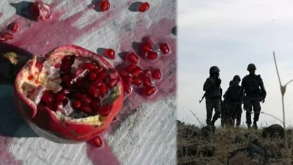Ադրբեջանական կողմի պահանջով Արցախում նկարահանված հայկական ֆիլմը հեռացվել է փառատոնից