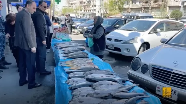 ՏԵՍԱՆՅՈՒԹ. Վաճառքը հենց մայթին է՝ առանց սանիտարական պայմանների. ստուգայցեր Երևանում