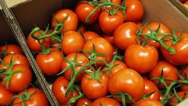 Ադրբեջանից գյուղմթերքի մատակարարման սահմանափակումները քաղաքական ենթատեքստ չունեն. Զախարովա