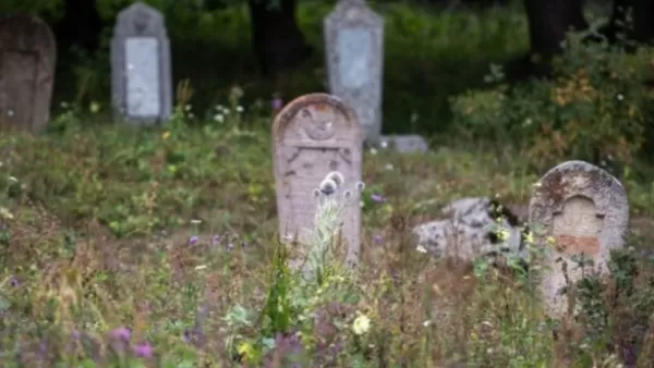 Ադրբեջանցիները գերեզմանաքարերն օգտագործում են Շուշի տանող ճանապարհի շինարարության համար. Դավիթ Բաբայան