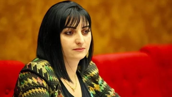 Ադրբեջանը գործում է հերթական հանցագործությունը. Թովմասյանը գրություն է ուղարկել