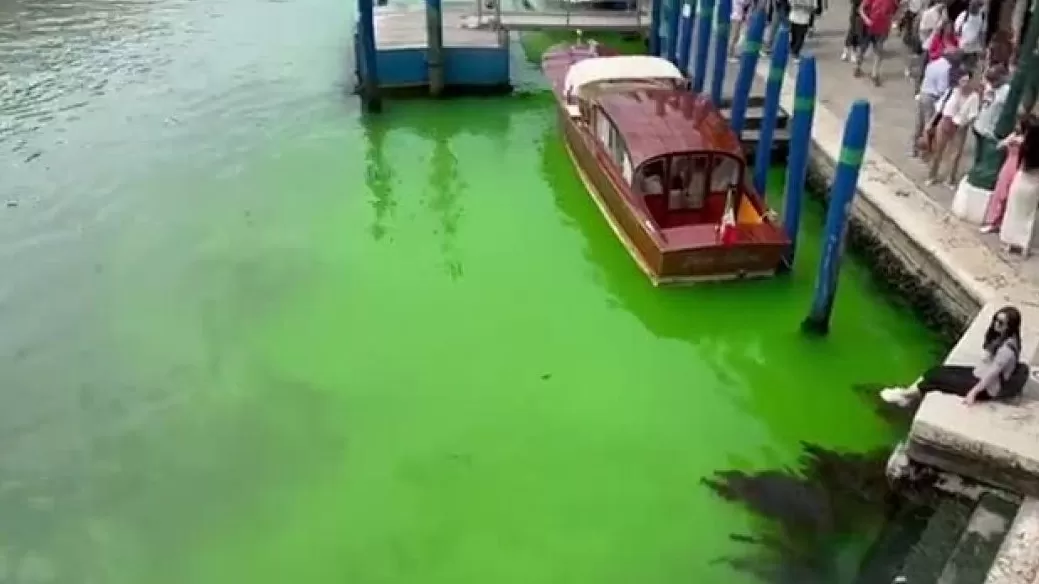 ՏԵՍԱՆՅՈՒԹ. Վենետիկի Մեծ ջրանցքի ջուրը դարձել է վառ կանաչ
