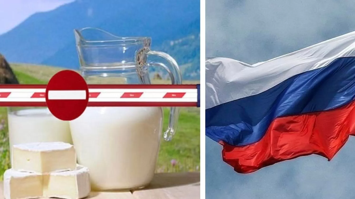  ՌԴ կաթնամթերքի արտահանման արգելքի հետեւանքով, հայ արտադրողները կարող են մի քանի միլիոն դոլար կորցնել